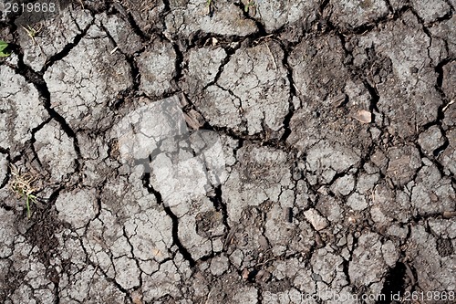 Image of Dry land