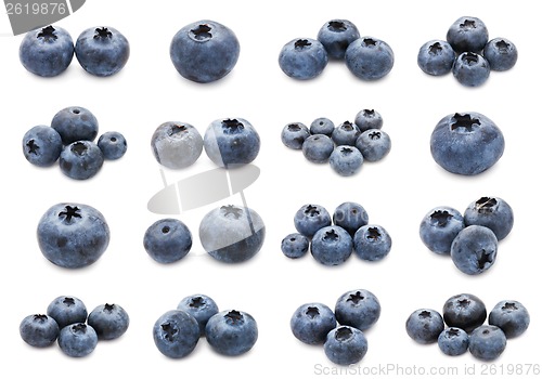 Image of Blueberry set