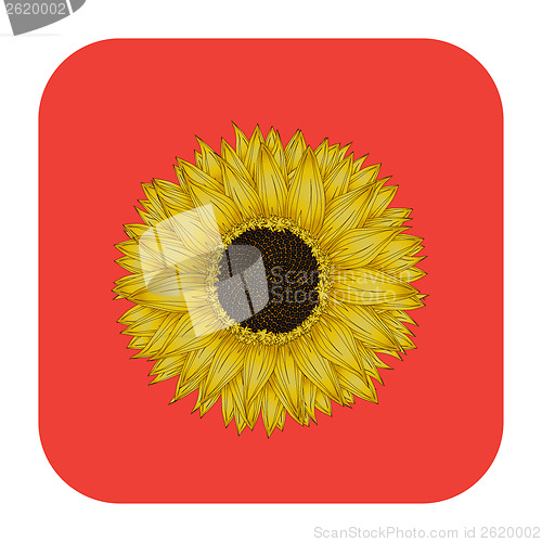 Image of Sunflower icon