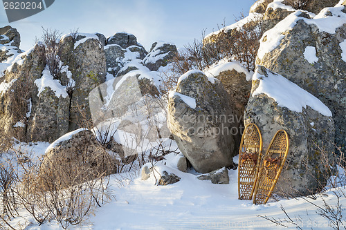 Image of winter landscape with snowshoes