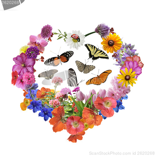 Image of Butterflies And  Flowers In Heart Shape