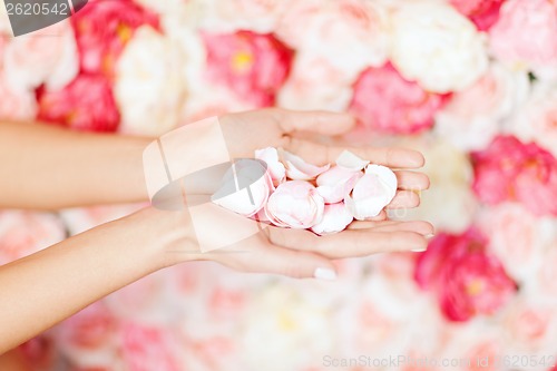 Image of womans cupped hands with flower petals