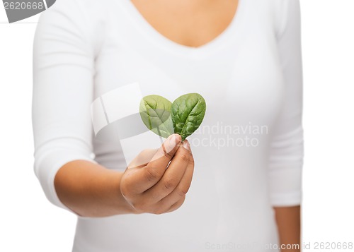 Image of closeup woman hand with green sprout