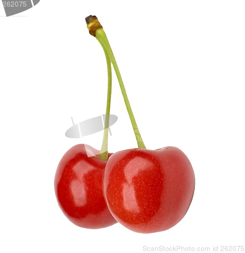 Image of cherry