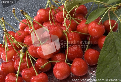 Image of cherry