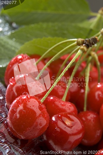 Image of cherry