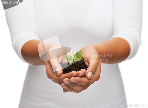 Image of woman hands holding plant in soil