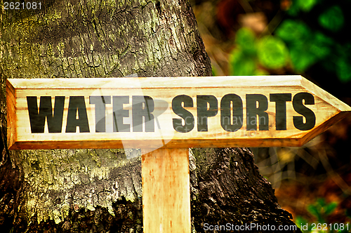 Image of Water Sports