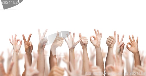 Image of human hands showing thumbs up, ok and peace signs