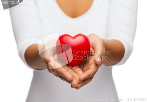 Image of womans cupped hands showing red heart