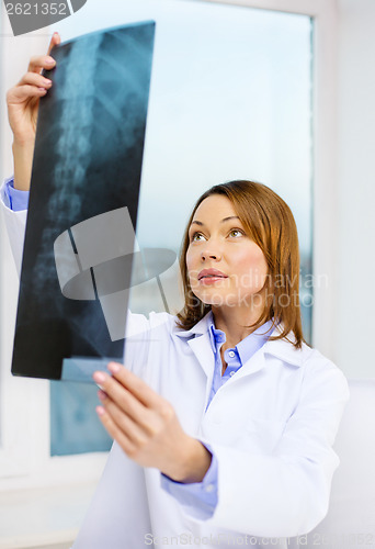 Image of concentrated doctor looking at x-ray