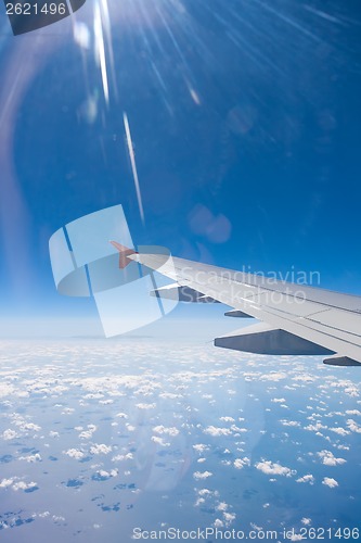 Image of Flight