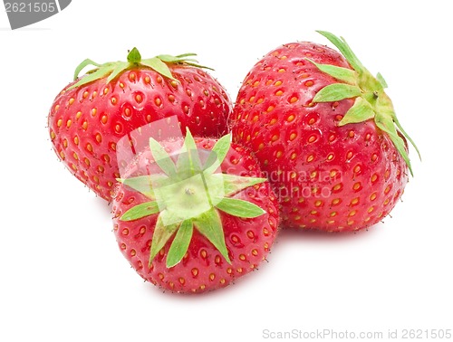 Image of Strawberry