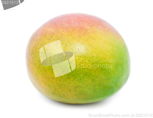 Image of Mango