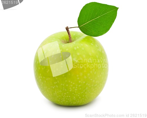 Image of Apple