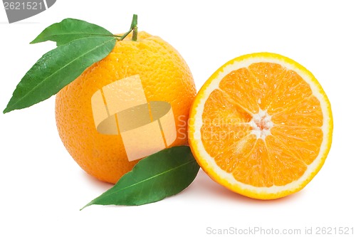 Image of Orange