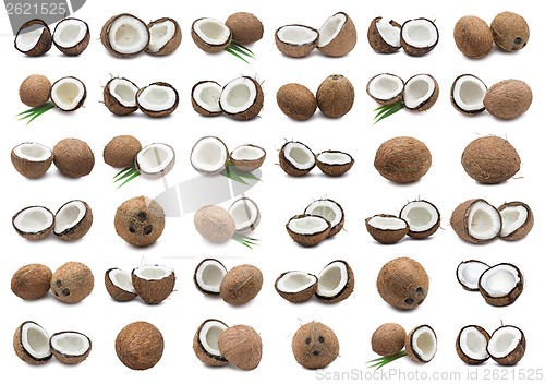 Image of Coconuts