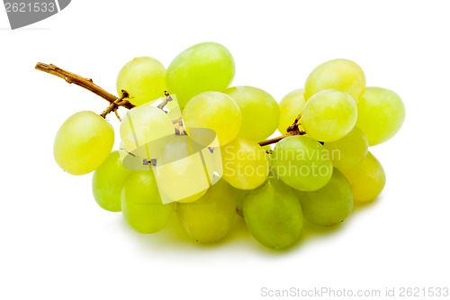 Image of Grapes