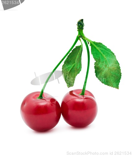 Image of Red cherry