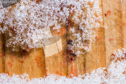 Image of Close up snow