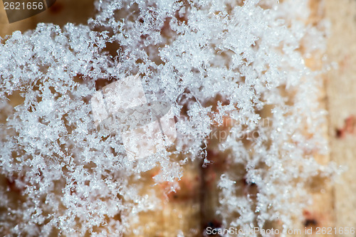 Image of Close up snow