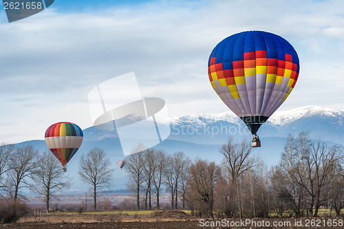 Image of Multicolored Balloon in the blue sky