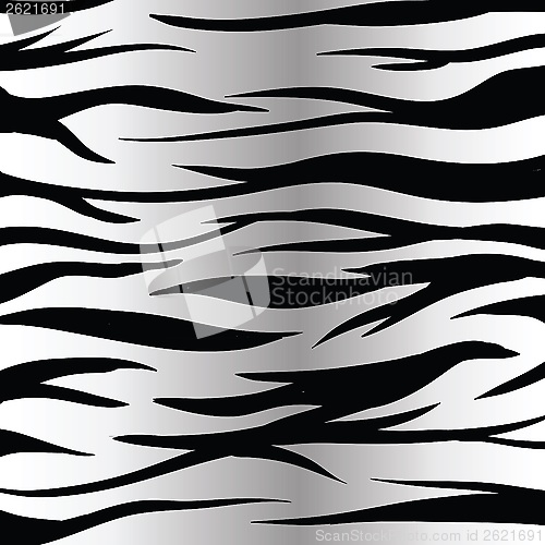 Image of zebra skin