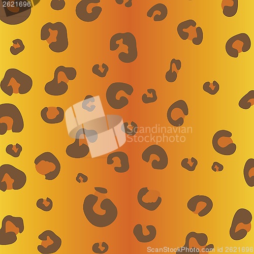 Image of animal pattern