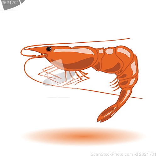 Image of orange shrimp