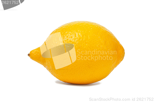 Image of Lemon on white