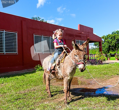 Image of child riding a miniature donkey