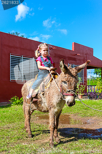 Image of child riding a miniature donkey