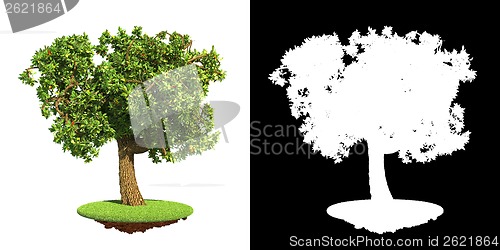 Image of Lush Green Tree Isolated on White Background.