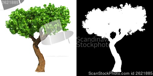 Image of Green Tree Isolated on White Background.