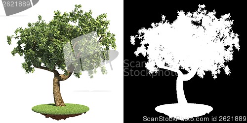 Image of Green Tree Isolated on White Background.