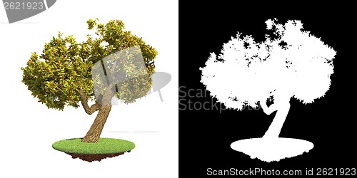 Image of Green Tree Isolated on White Background.