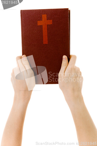 Image of on a white background hands holding a bible