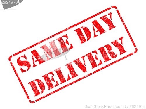 Image of Same Day Delivery on Red Rubber Stamp.