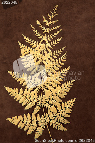 Image of Gold Fern 