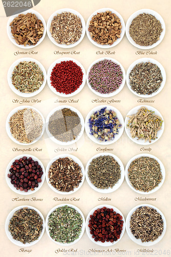 Image of Natural Herbal Medicine
