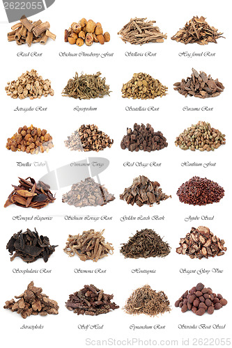 Image of Chinese Medicine