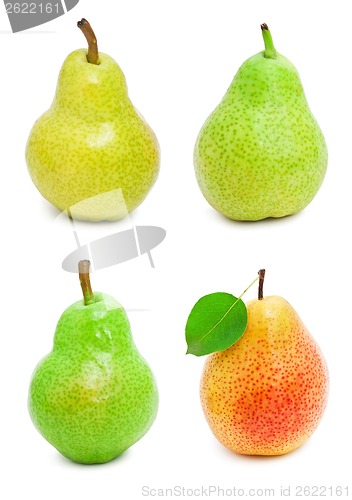 Image of Pears