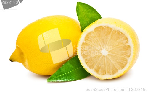 Image of Lemon