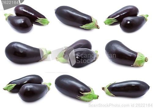 Image of Aubergine