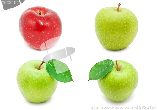 Image of Apples
