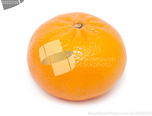 Image of Tangerine