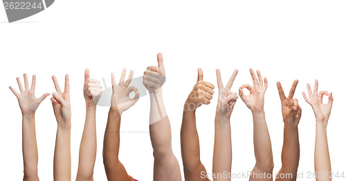 Image of human hands showing thumbs up, ok and peace signs