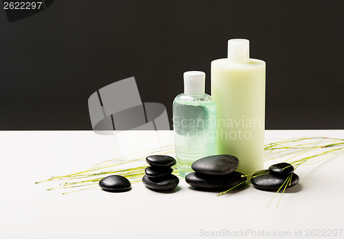 Image of shampoo bottle, massage stones and green plant