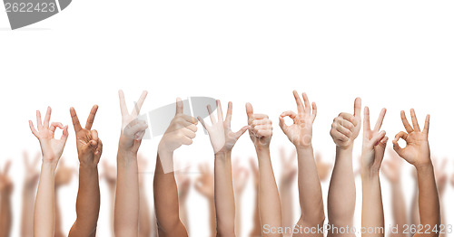 Image of human hands showing thumbs up, ok and peace signs