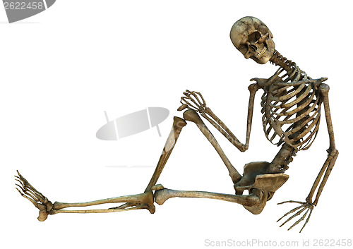 Image of Smiling Skeleton